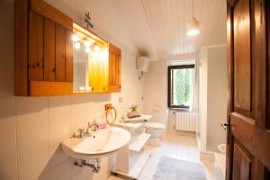 a bathroom with a sink and a toilet at Agriturismo biologico il Molinaccio al Rio Chiaro in Civitella dʼAgliano +28 photos