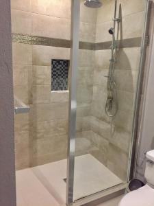 a shower with a glass door in a bathroom at Brown Studio Apartment in Palm-Eagle Beach