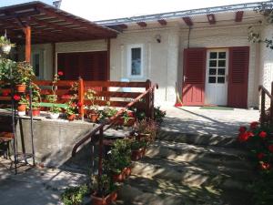 ein Haus mit einem Tor und einer Treppe mit Topfpflanzen in der Unterkunft Cazare Poienita in Hîrtoape