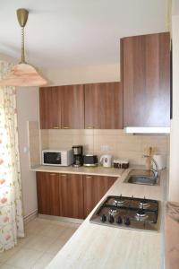 Una cocina con gabinetes de madera y un horno de estufa. en Casa Retezat, en Rîu de Mori
