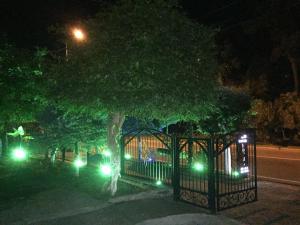 Κήπος έξω από το Hotel Estonia Two