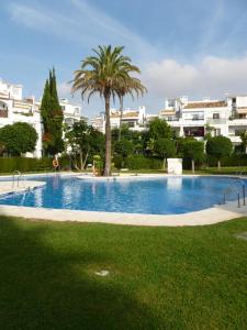 duży basen z palmą i budynkami w obiekcie Appartement Penthouse II 15 - 5 w mieście Mijas Costa