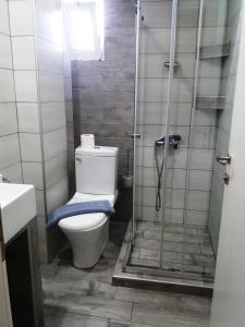a bathroom with a toilet and a shower at Villa Riviera in Stavros