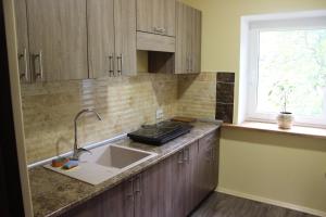 Kuchyň nebo kuchyňský kout v ubytování Gorec + 133 fotografií