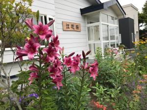 效果旅馆外面的花园