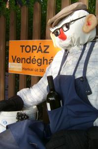 Fotografia z galérie ubytovania Topáz Vendégház v destinácii Sopron + 5 fotografií