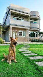a dog sitting in the grass in front of a house at Jin Dun Yuan in Jinning