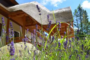 a thatch cottage with purple flowers in front of it at Lodge Seaside Boutique Hotel in Heiligendamm