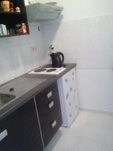 Kuchyň nebo kuchyňský kout v ubytování ApartmányDanielova