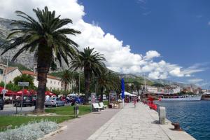 a street with palm trees next to a body of water at Villa Abeona in Makarska