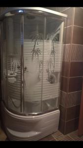 a glass shower in a bathroom with a plant in it at Odvojak Apartments in Crikvenica +106 photos