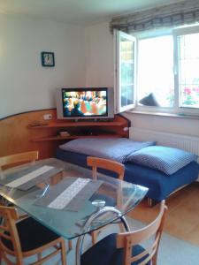 A television and/or entertainment centre at ApartmányDanielova