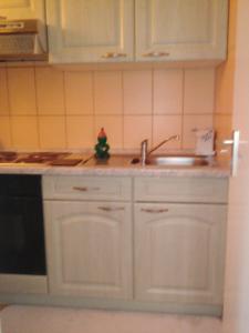 Kuchyň nebo kuchyňský kout v ubytování ApartmányDanielova