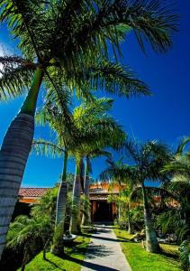 uma fila de palmeiras ao lado de uma passarela em Villa Baobá em Búzios