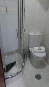 uma casa de banho com um WC e uma cabina de duche em vidro. em ML Apartments Almada panoramic balcony no Porto