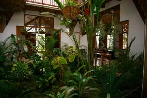 a room filled with lots of plants at Terrazas de Salento in Salento