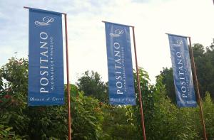 three blue flags on poles in front of trees at Positano Alona Beach Panglao in Panglao