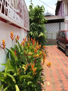 Galeriebild der Unterkunft Palm Rivera Kochi in Kochi + 42 Fotos