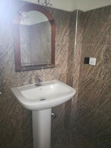 ein Bad mit einem Waschbecken und einem Spiegel in der Unterkunft Walawe Park View Hotel in Udawalawe