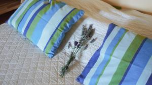 zwei Kissen und ein Blumenstrauß auf dem Tisch in der Unterkunft Cottage provencal - Villa saint Marc in Forcalquier + 91 Fotos