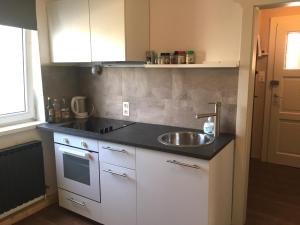 eine Küche mit einer Spüle und einer Arbeitsplatte in der Unterkunft Book-A-Room Salzburg Apartment 5-6-7-8 in Salzburg