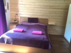 a bedroom with a purple bed with two pink pillows at Book-A-Room Salzburg Apartment 5-6-7-8 in Salzburg