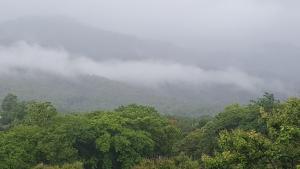 a group of trees in front of a mountain at Aunt & Uncle's House in Chiang Mai