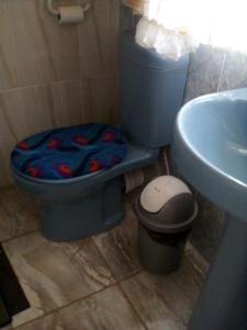 uma casa de banho com um WC azul e um lavatório. em Guest House Macauly em Joanesburgo