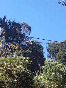 Foto dalla galleria di Sincere Wilderness Home stay a Nuwara Eliya