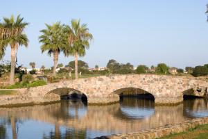 a stone bridge over a river with palm trees at Hacienda Bajamar in Sonorabampo