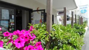 Fotografie z fotogalerie ubytování Hotel Donatello v Alberobellu