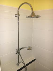 a shower with a shower head in a bathroom at Hotel Alain et Martine in Viviers-du-Lac