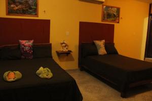 Afbeelding uit fotogalerij van Hotel LOL-HA in Cobá