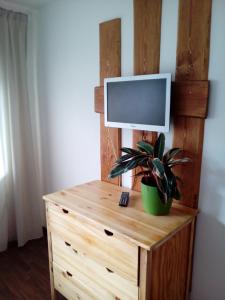 un televisor en la parte superior de un tocador de madera con una planta en ZOOPARK Zelčín, en Mělník