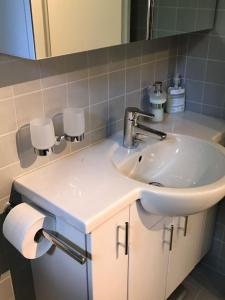 a bathroom with a sink and a mirror at Ferienwohnung Parkareal Davos in Davos