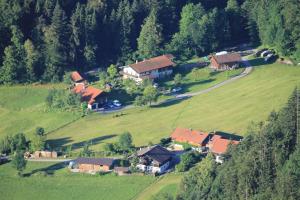 an aerial view of a house in a green field at Ferienhütte in Ruhpolding in Ruhpolding