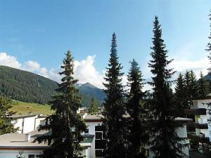 a group of pine trees in front of a building at Ferienwohnung Parkareal Davos in Davos