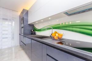 Kuchyň nebo kuchyňský kout v ubytování Villa Nika