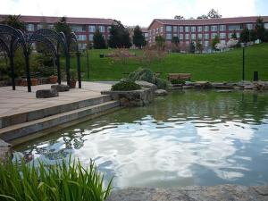 a pond in a park with a building in the background at Economy Inn in San Francisco