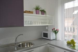 Fotografie z fotogalerie ubytování Apartment Mlýnská v Jeseníku + 27 fotografií