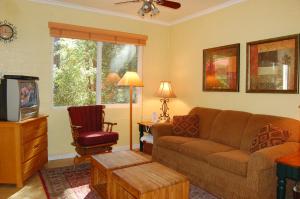 a living room with a couch and a tv at 65 Sparrows Nest in Wawona