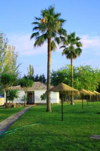 En trädgård utanför Camping Sierra de las Nieves