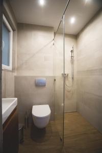 een badkamer met een toilet en een glazen douche bij The Grand Budapest View in Boedapest