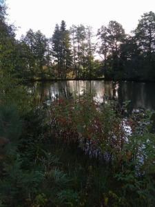 Príroda v okolí apartmánu