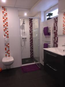 a bathroom with a shower and a toilet and a sink at Résidence "Au Charron de Geis'pitz" in Geispolsheim