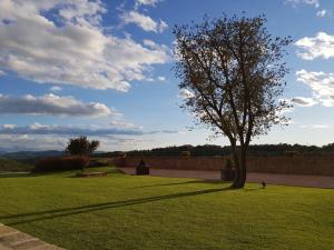 Loodusmaastik of the country house lähedal