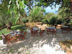 un gruppo di tavoli e sedie sotto un albero di Mediterraneo Rooms a Palinuro