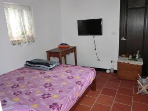 sypialnia z fioletowym łóżkiem i telewizorem z płaskim ekranem w obiekcie Lieyu B&B w mieście Lieyu