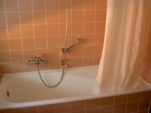 a bathroom with a tub with a shower curtain at Ferienwohnung Globetrotter in Horstmar +16 photos
