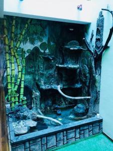 Fotografie z fotogalerie ubytování Villa Familia v destinaci Kandy